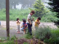 ���R�̐F��T���Ă��܂��B���x���_�[�͎����ȁH