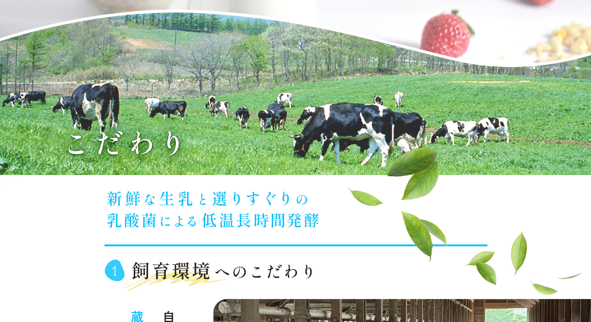 なめらかもっちり食感 極ヨーグルト