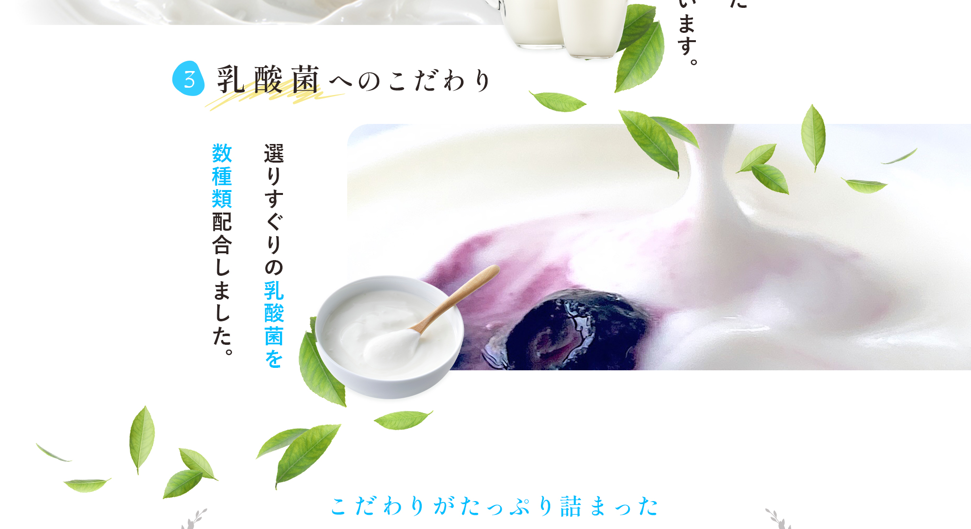 なめらかもっちり食感 極ヨーグルト