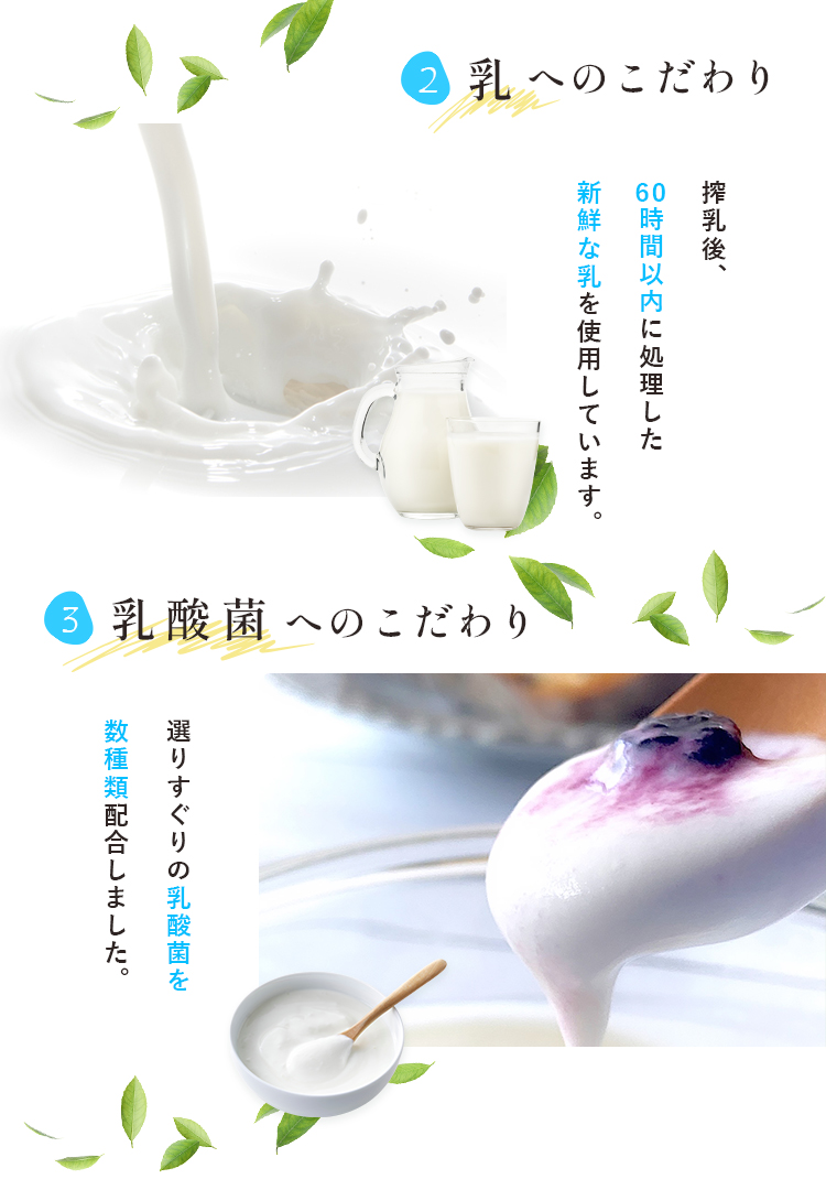 なめらかもっちり食感 極ヨーグルト