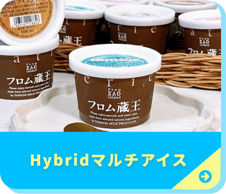 hybridマルチアイス特集ページへ