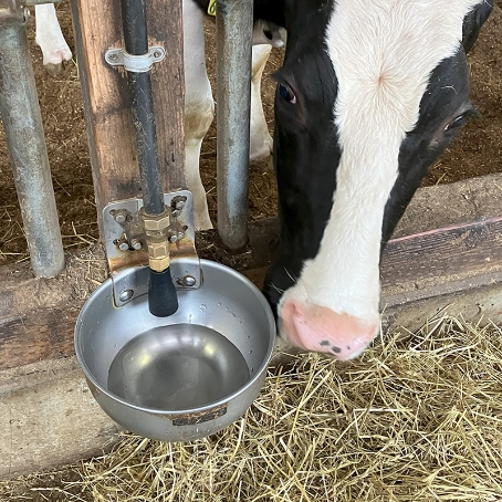 鼻先で給水機の先を押せば、いつでもおいしい井戸水が