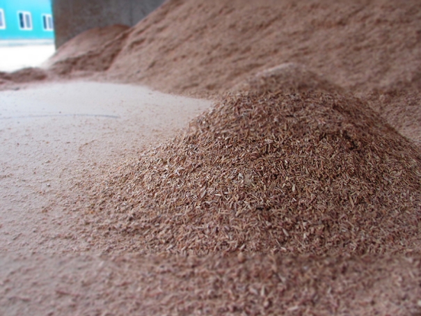 牛の寝床を清潔に保つおがくずも、良い香り